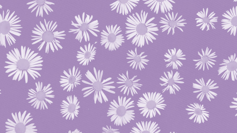 Purple dasies pattern wallpaper