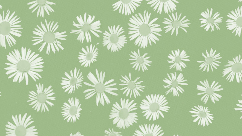 Green dasies flowers pattern