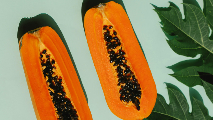 papaya background
