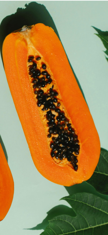 Papaya Phone background