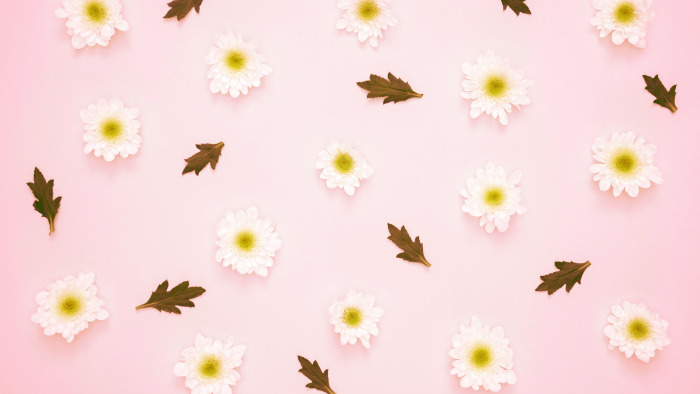 Cute Pink Floral Pattern Summer Wallpaper