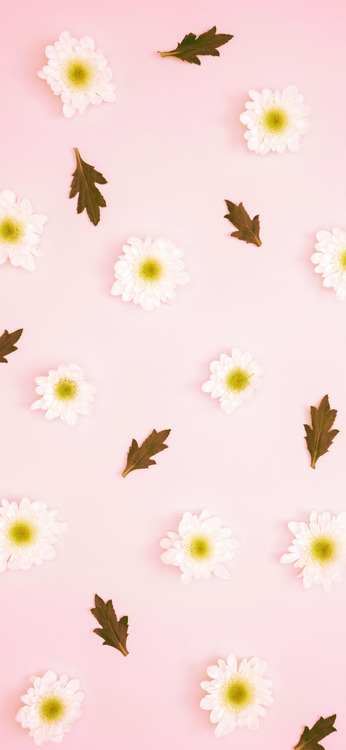 Cute Pink Floral Pattern Summer Phone Wallpaper