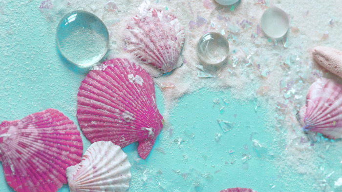 seashells wallpaper