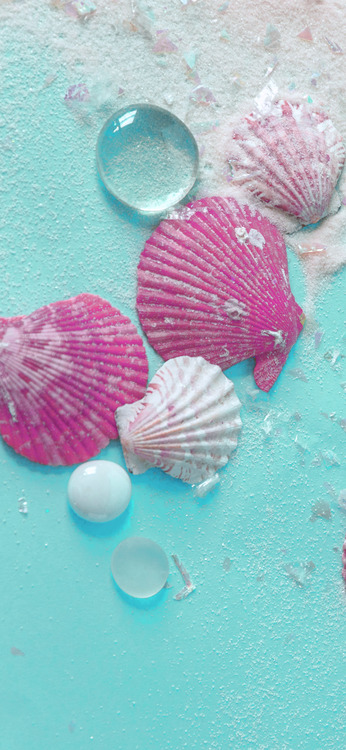 Cute seashells Phone background