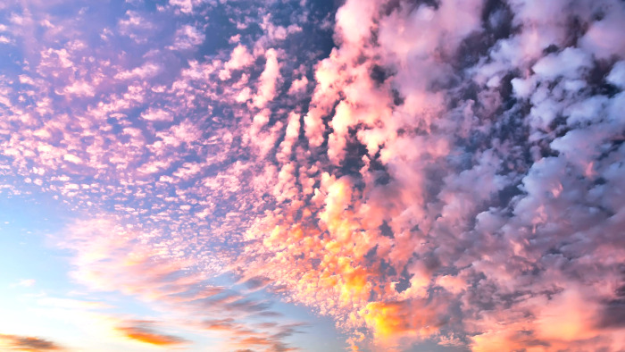 purple pink clouds