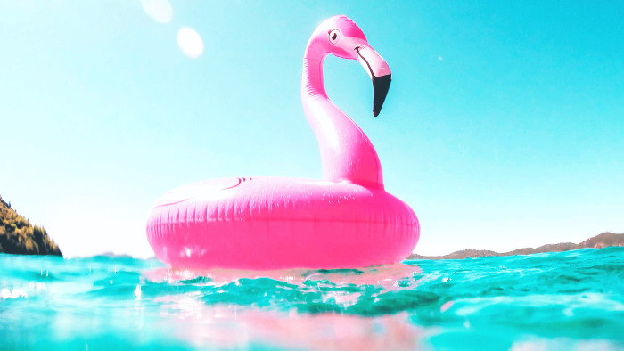 flamingo floater wallpaper