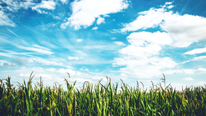 clouds with greens background